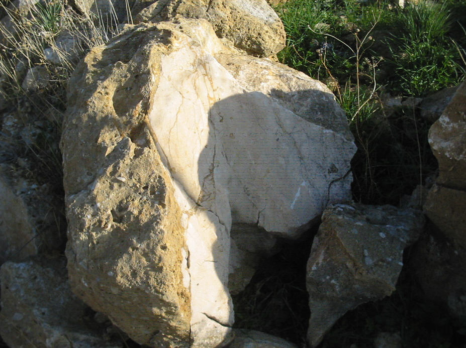 Faglia